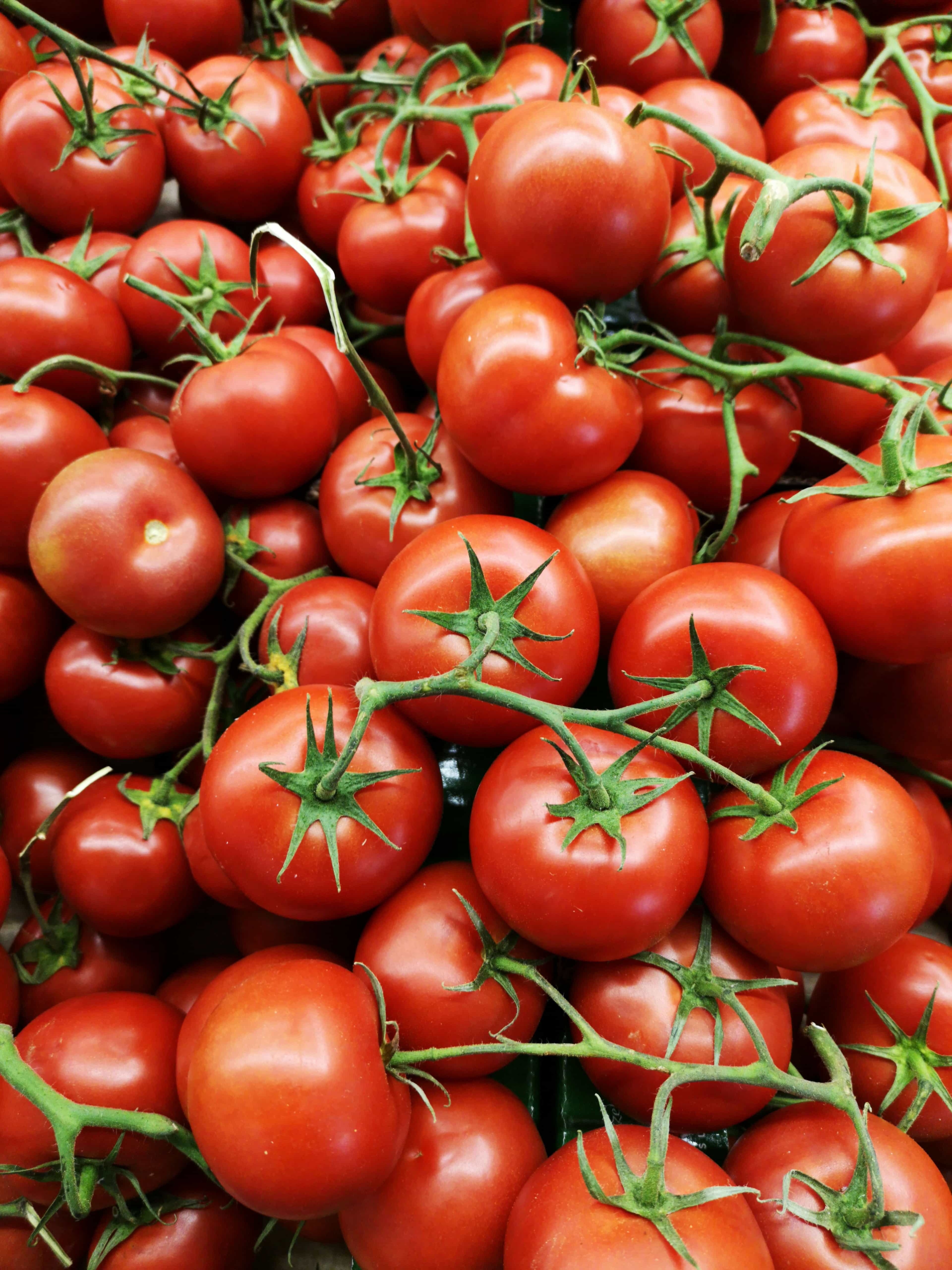Tomates du jardin