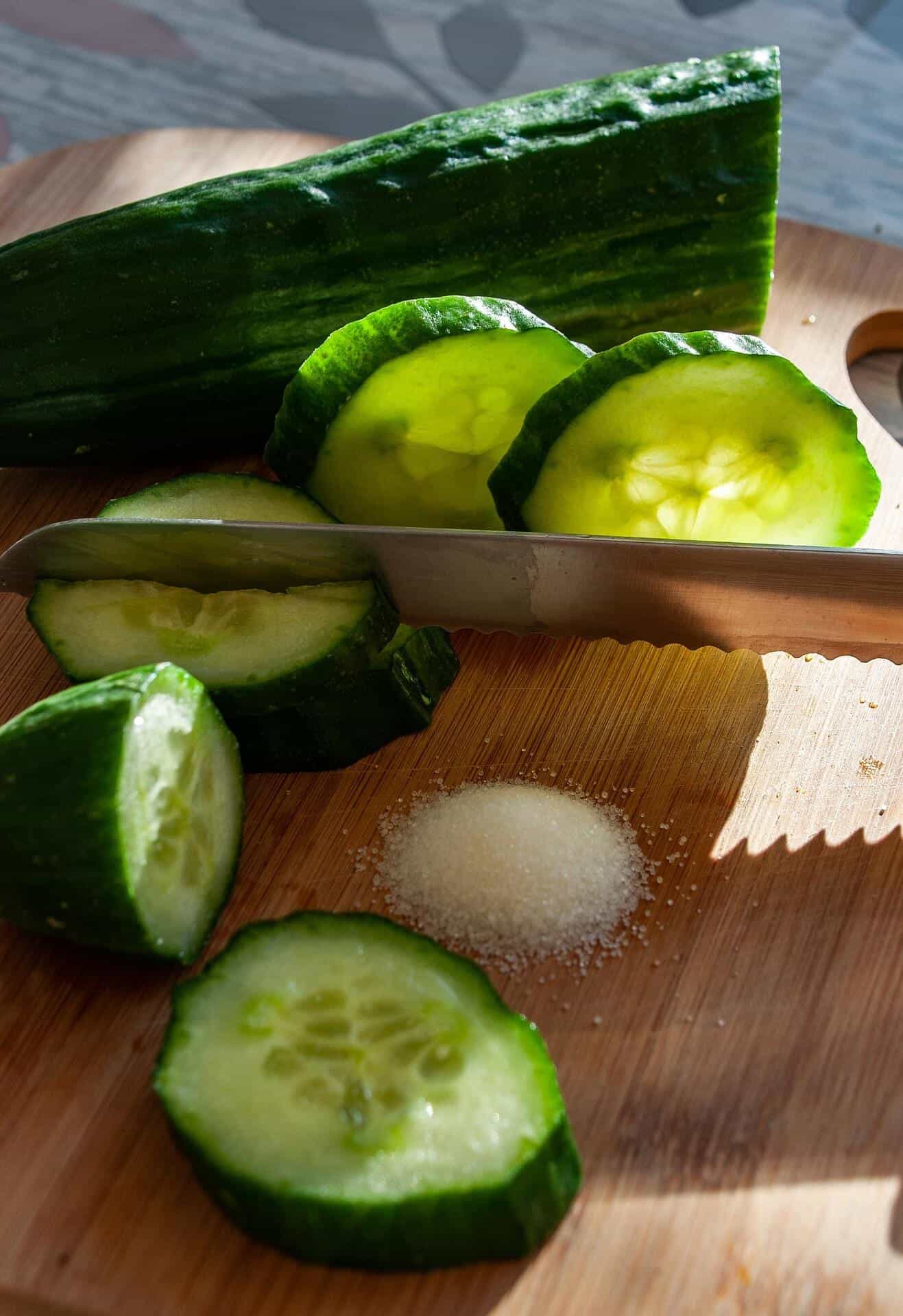 Concombres frais du potager