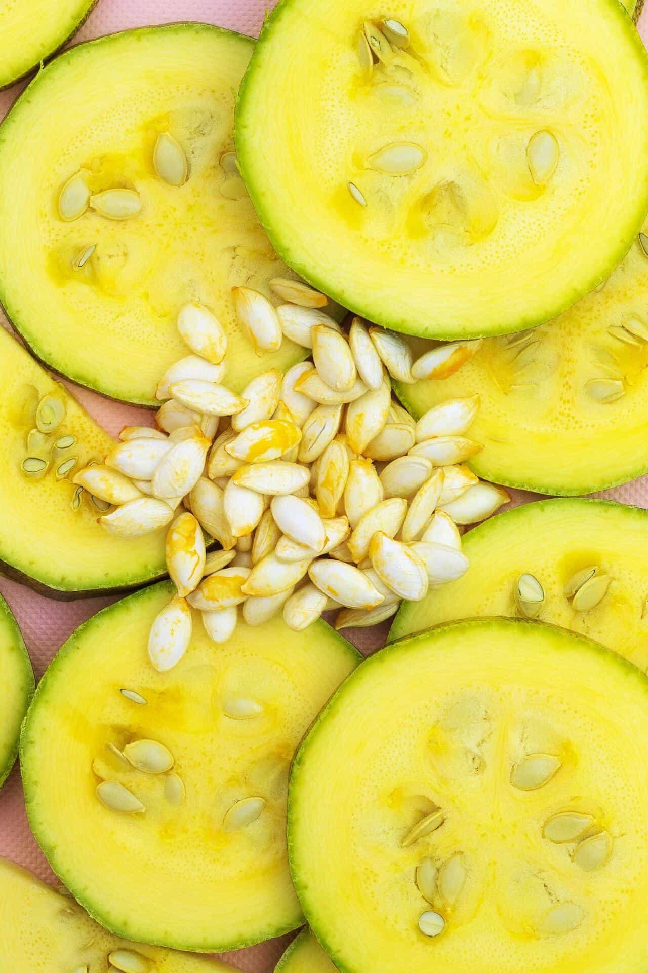 Courgettes fraîches du potager