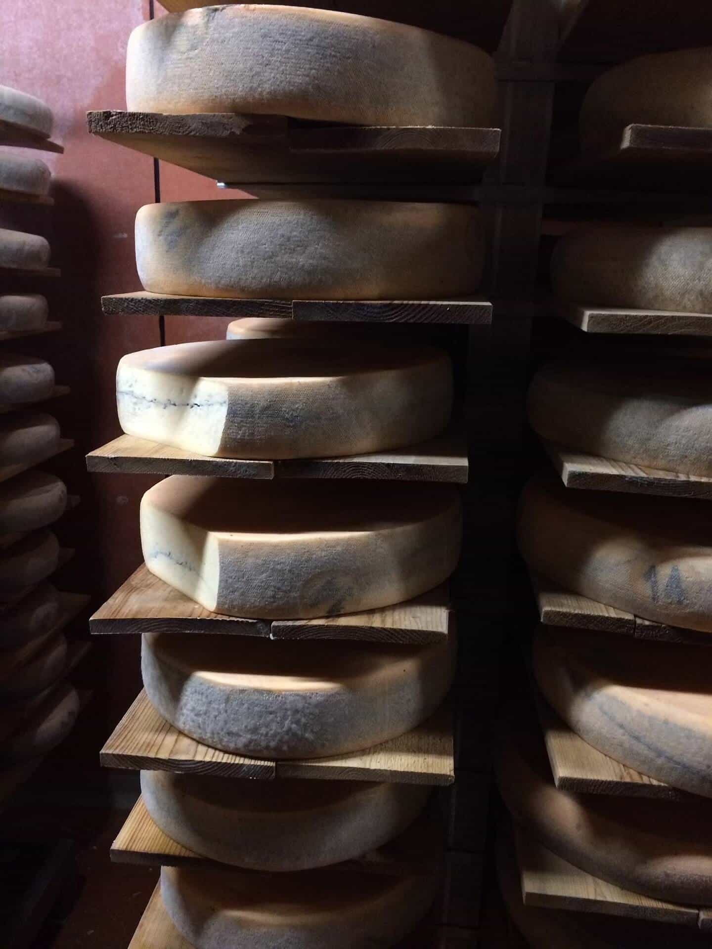Morbier fermier artisanal