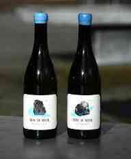 🍷 Domaine Roc'h-Mer — Vin rouge breton artisanal